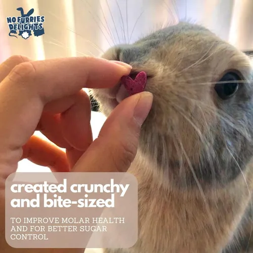 Alimento Para Conejo Hámster Cobaya Chinchilla Ratones