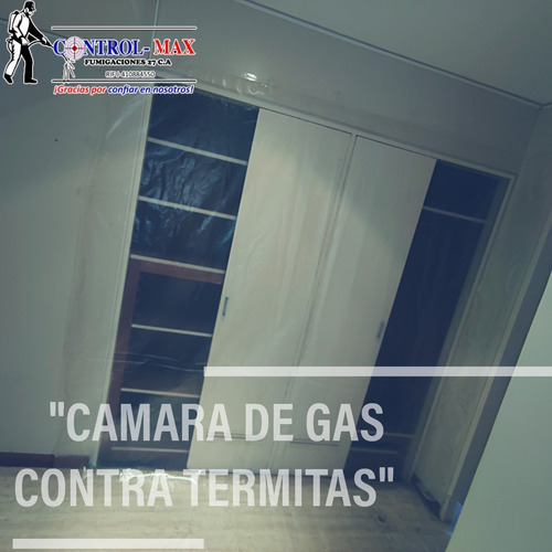 Imagen 3 de 10 de Servicio De Fumigacion Comercial Local Chiripas Cucarachas
