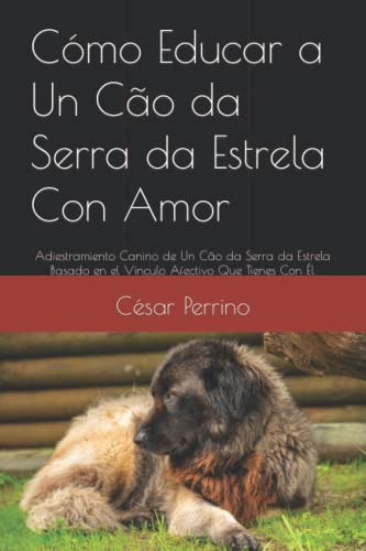 Como Educar A Un Cão Da Serra Da Estrela Con Amor: Adiestram