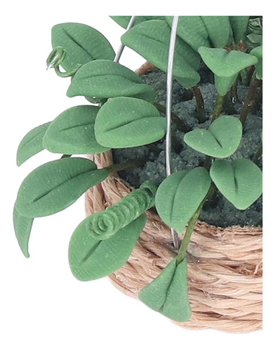 Bonsái En Miniatura Con Plantas De Casa De Muñecas Para Deco