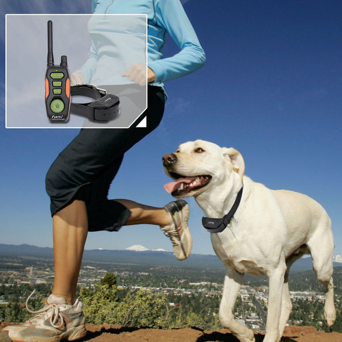 Ipets Impermeable Collar De Entrenamiento Perro Recargable W