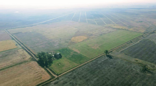 Campo En Estacion Diaz
