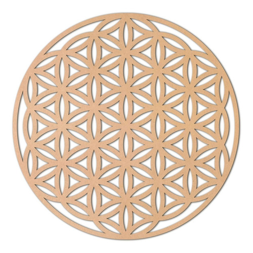 Flor De La Vida Cuadro Geometría Sagrada Decoración 30x27 3m