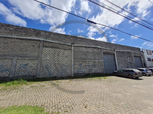 Imagem 3 de 6 de Galpao - Gl00001 - 69909022