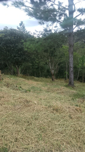 Vende-se Terreno Para Construir De Sítio Ou Chácara
