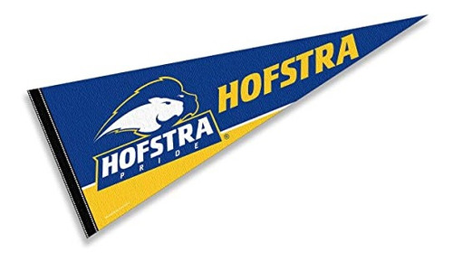 Banderín College Flags Banners Co Hofstra Pride, Tamaño Comp