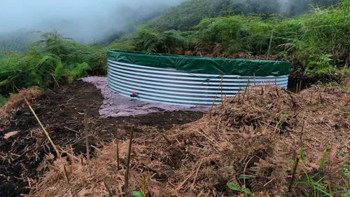 Vendo Finca De 45 Hectares O 71 Cuadras Sembradas En Aguacate Hass En Genova Quindio