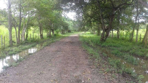 Imagen 10 de 11 de Finca De 600 Hectáreas En Arismendi