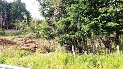Imagen 4 de 9 de Terreno Lote En Venta Ubicado En Villa Campanario, Bariloche