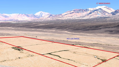 Venta Campo 134 Has En Finca Alamos, Barreal.
