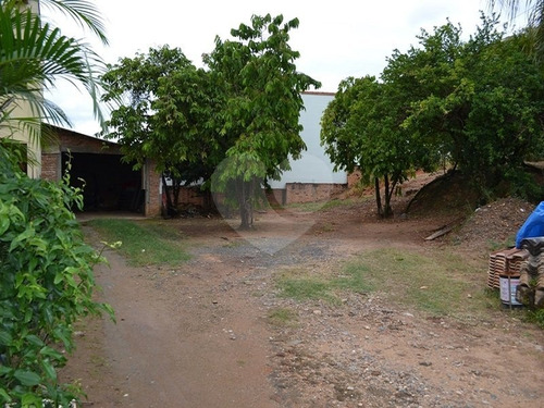 Imagem 12 de 15 de Terreno Residencial À Venda, Castelo, Amparo. - Reo328964