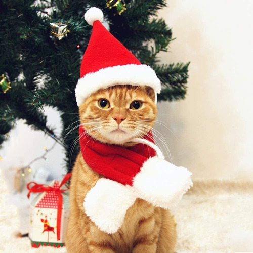 Traje De Navidad Gorro De Papá Noel Gato Con Bufanda 4 Pieza