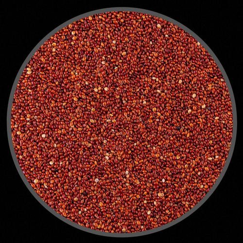 Sementes De Painço Vermelho Para Pássaros - 5 Kg
