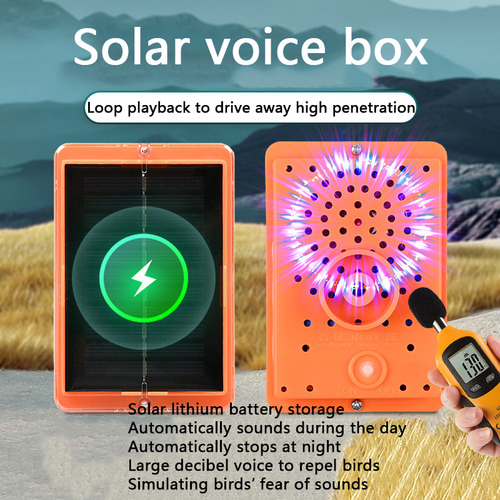 Pombo-espantalho Falante Movido A Energia Solar Detém Gaivot