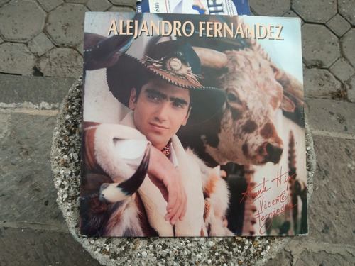 Alejandro Fernández Acetato Disco Lp Envío Gratis Excelente (Usado)
