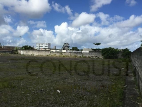 Imagem 1 de 7 de Terreno - Parque Sao Vicente - Ref: 1660 - L-3828