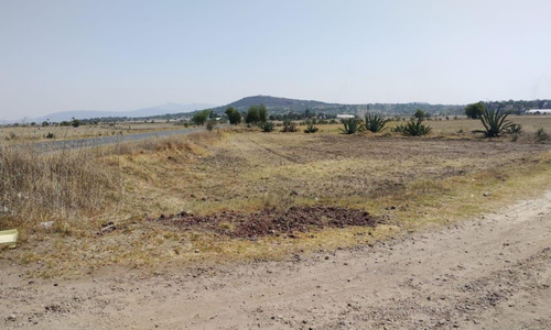 Terreno En Temascalapa, Edo. Méx. Sup. 19 Hectáreas
