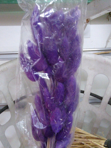 Ramo De Colita De Vison Grande, Variedad De Colores