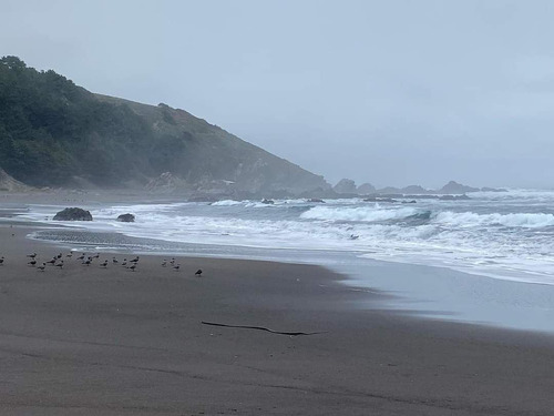 Parcelas A 8 Minutos Del Lago Vichuquén, Financiamiento