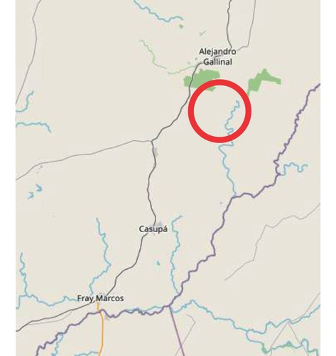 Venta, Campo 54 Ha Forestal Ganadero - Florida