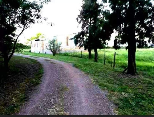 Oportunidad Vendo Campo Agrícola 100 Ha Real Sayana