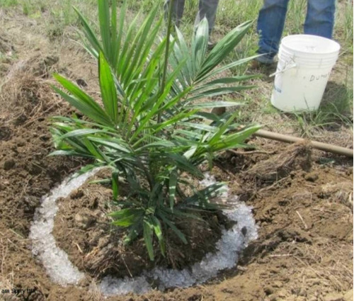 Hidrogel Agrícola Hydrokeeper 