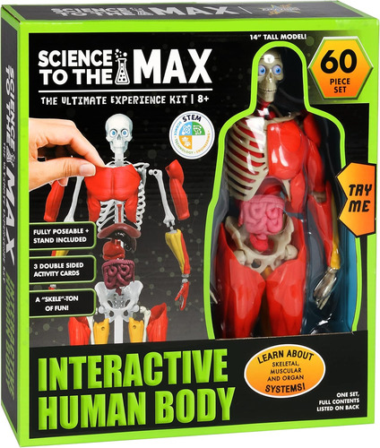 ¡sé Increíble! Toys Cuerpo Humano Interactivo - Figura De An