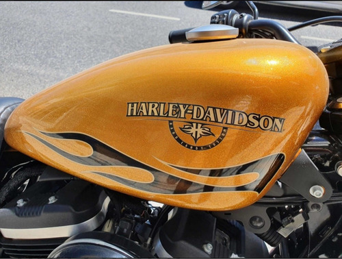 Imagen 8 de 10 de Harley Davidson