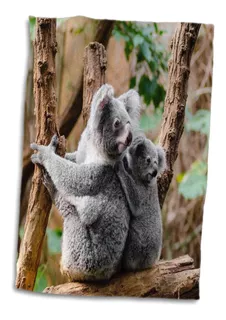 Toalla De 3d Rose Family Australia Koala Bear, 15 X 2...
