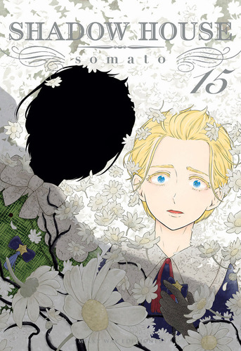 Shadow House 15, De Somato. Editorial Milky Way ,ediciones, Tapa Blanda En Español, 2024
