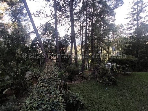 Lindo Y Cómodo Apartamento Con Excelente Clima De Montaña En Venta En Alto Prado Gi