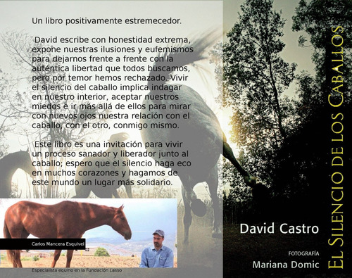 Imagen 2 de 2 de Libro: El Silencio De Los Caballos Por David Castro