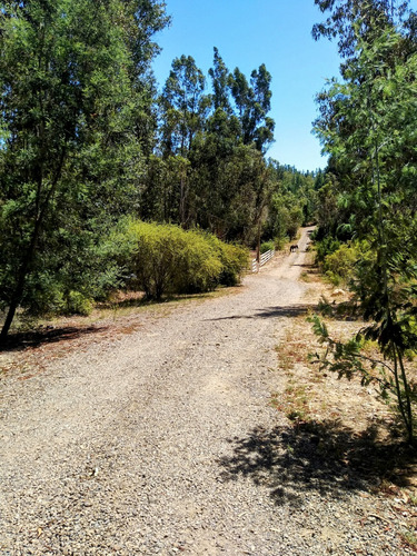 Condominio Orilla Embalse Tutuven Km 15 Cauquenes-chanco