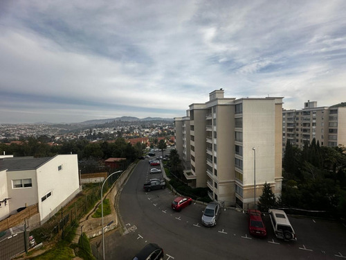 Arriendo Departamento En Paso Hondo