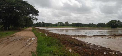 Finca En Venta Guarico