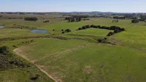 Comprar Quinta En Venta  En Laguna Del Sauce (ref: Atm-6444)