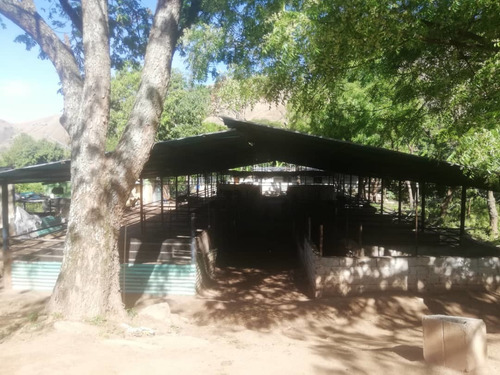 Imagen 6 de 11 de Se Vende Finca Lista Para Trabajar Negociable 04243290129