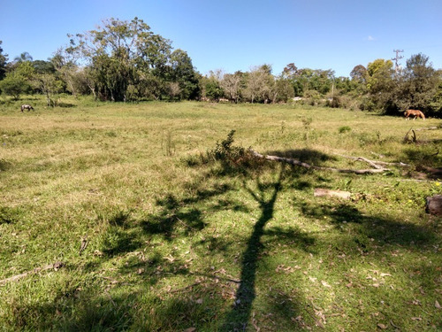 Chácara 10.000 M² - Mato Fino - Gravataí - Rs - 2097 - 33813852