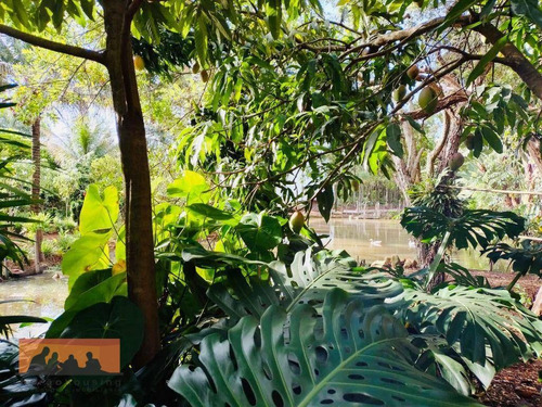 Imagem 26 de 30 de Chácara À Venda, 4034 M² Por R$ 1.500.000,00 - Residencial Burato - Campinas/sp - Ch0040