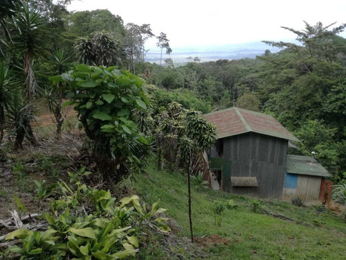 Imagen 2 de 4 de Vendo Finca