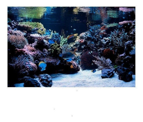5 Kilos De Sal Para Acuario Marino, Sal Aquavida