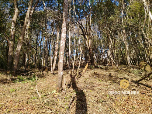 Imagem 4 de 12 de Terreno Á Venda Em Condomínio Em Mairiporã - 1.392 M² - Tr07