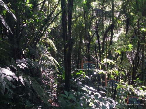 Ref.: 5467 - Area Em Pilar Do Sul Para Venda - V5467