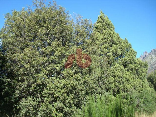 Imagen 6 de 11 de Terreno - Villa Lago Gutierrez