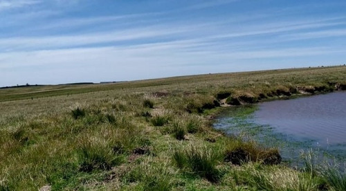 Dueño Vende Campo De 95 Ha En Lavalleja