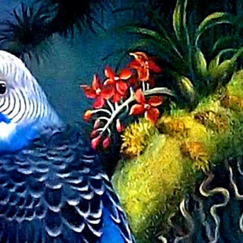 Pintura De Bricolaje De Diamante Pájaro Azul 
