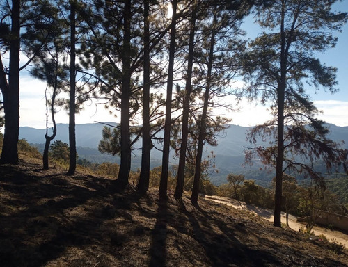 Imagem 4 de 11 de Terreno Com Vista Deslumbrante! - 34