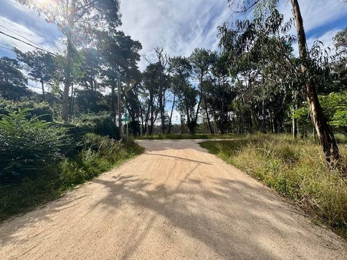 Venta Terreno Con Monoambiente Maldonado Balneario Buenos Aires