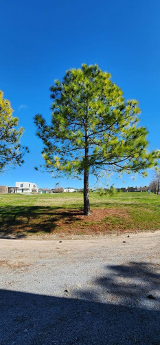 Venta Terreno / Lote Everlinks