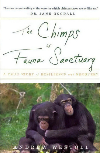 The Chimps Of Fauna Sanctuary : A True Story Of Resilience And Recovery, De Andrew Westoll. Editorial Mariner Books, Tapa Blanda En Inglés